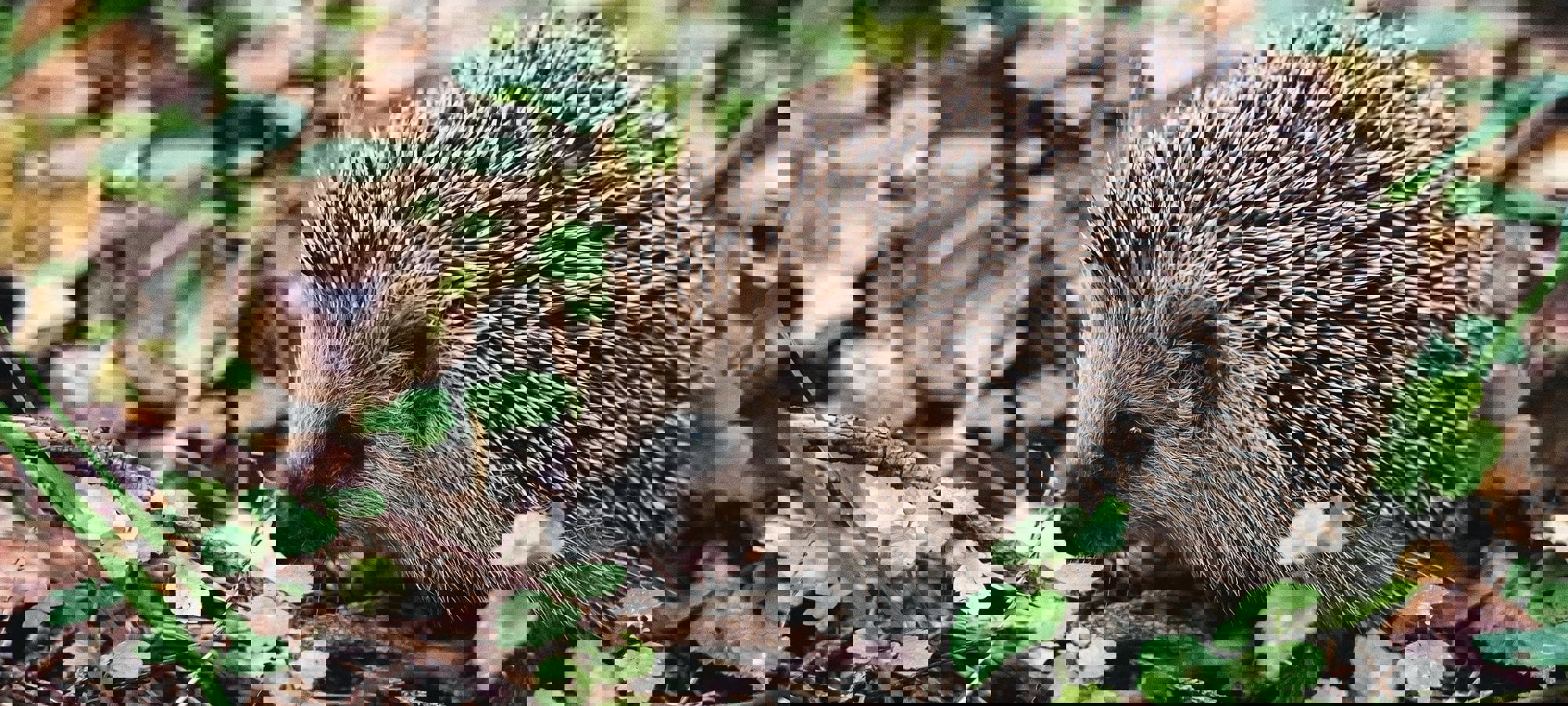 1bfd298a-8740-4521-b666-81132d700f88