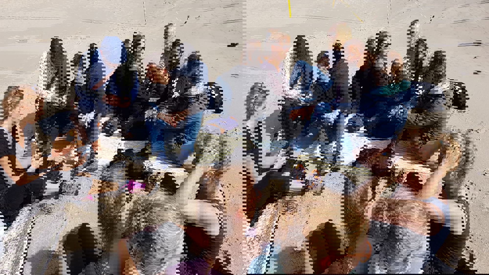 World Animal Protection