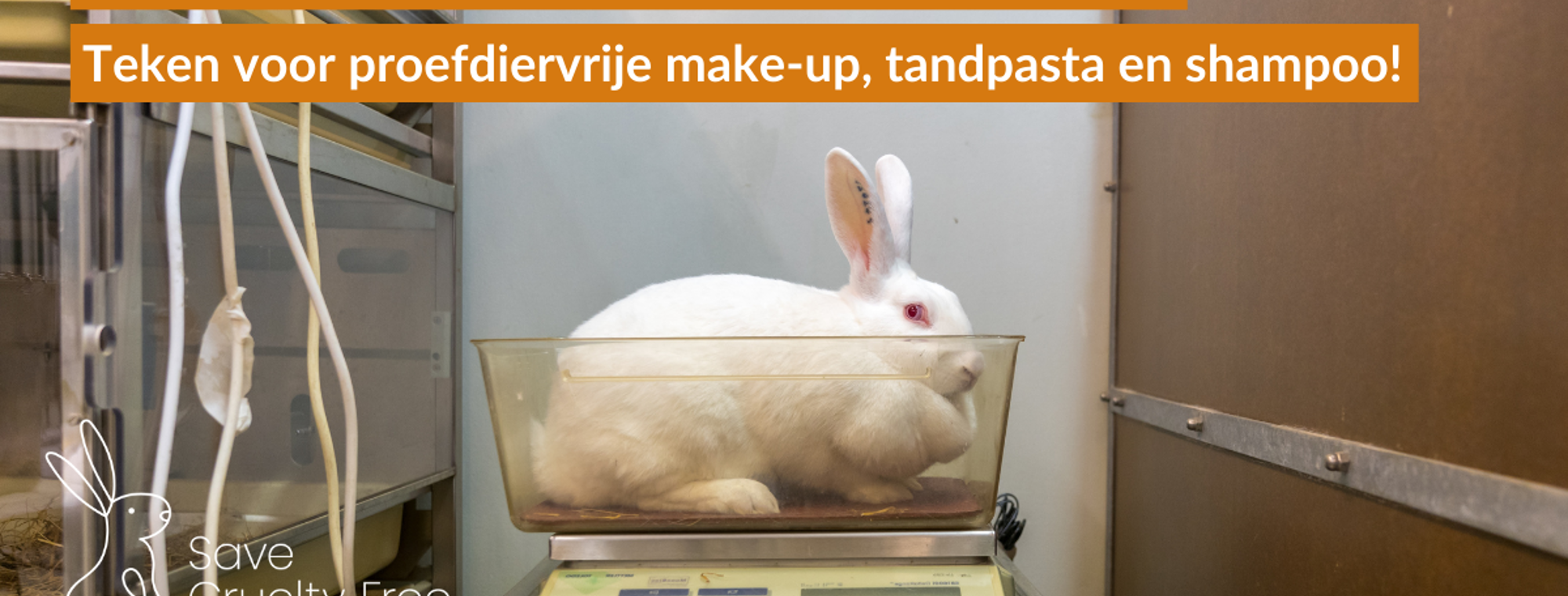 Twitter En Fb Post Cosmeticawet