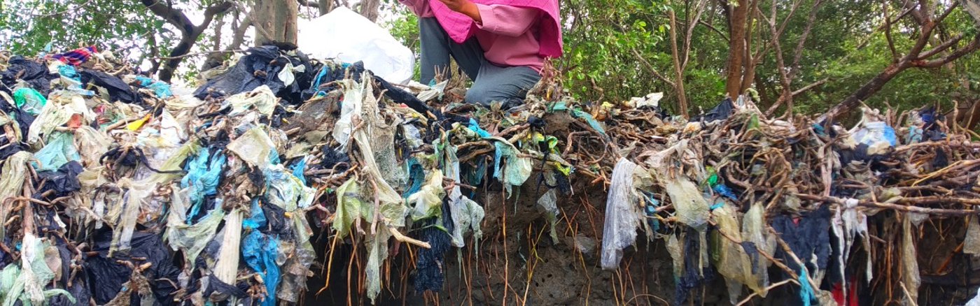 1 uur advies: Webontwikkelaar