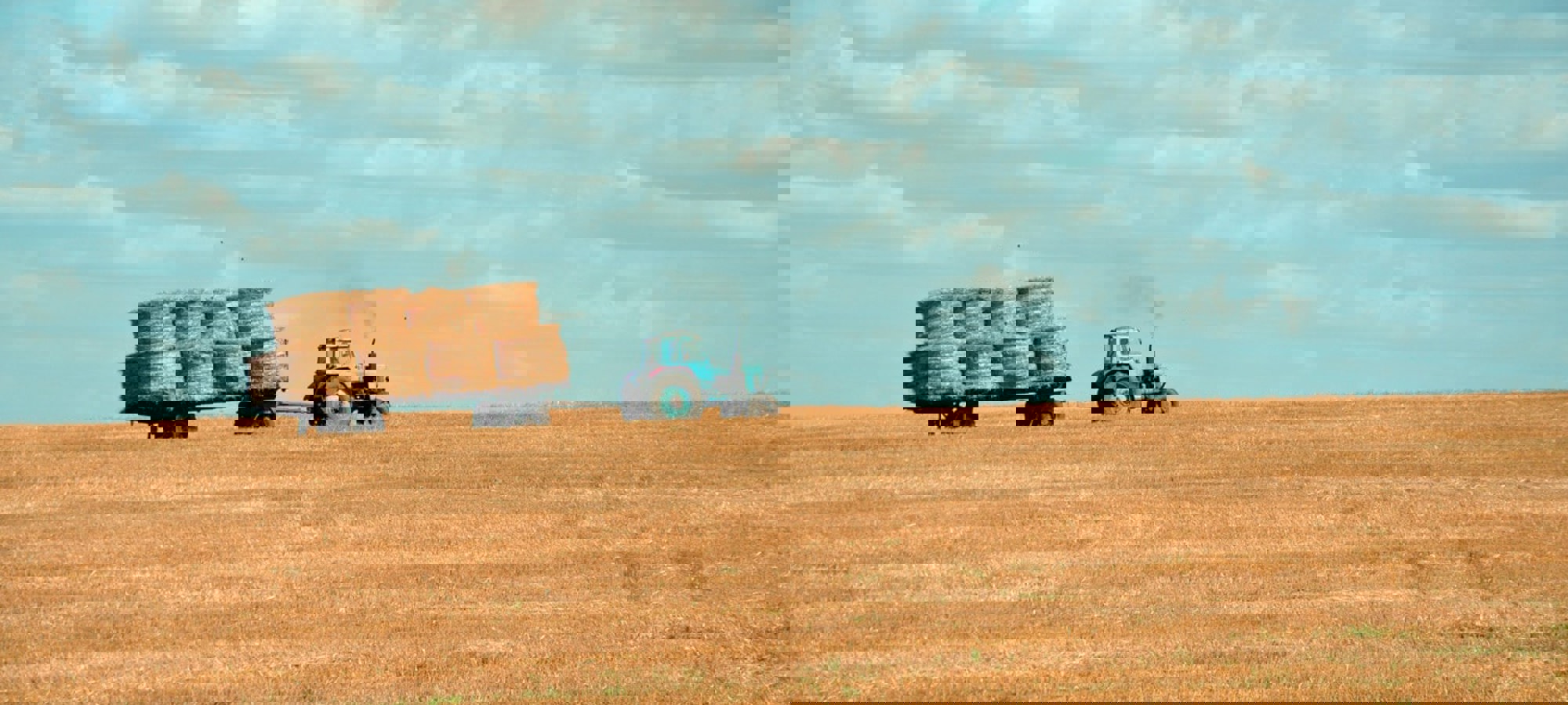 5af61edb-8f2e-469c-ba61-0babc52e509a