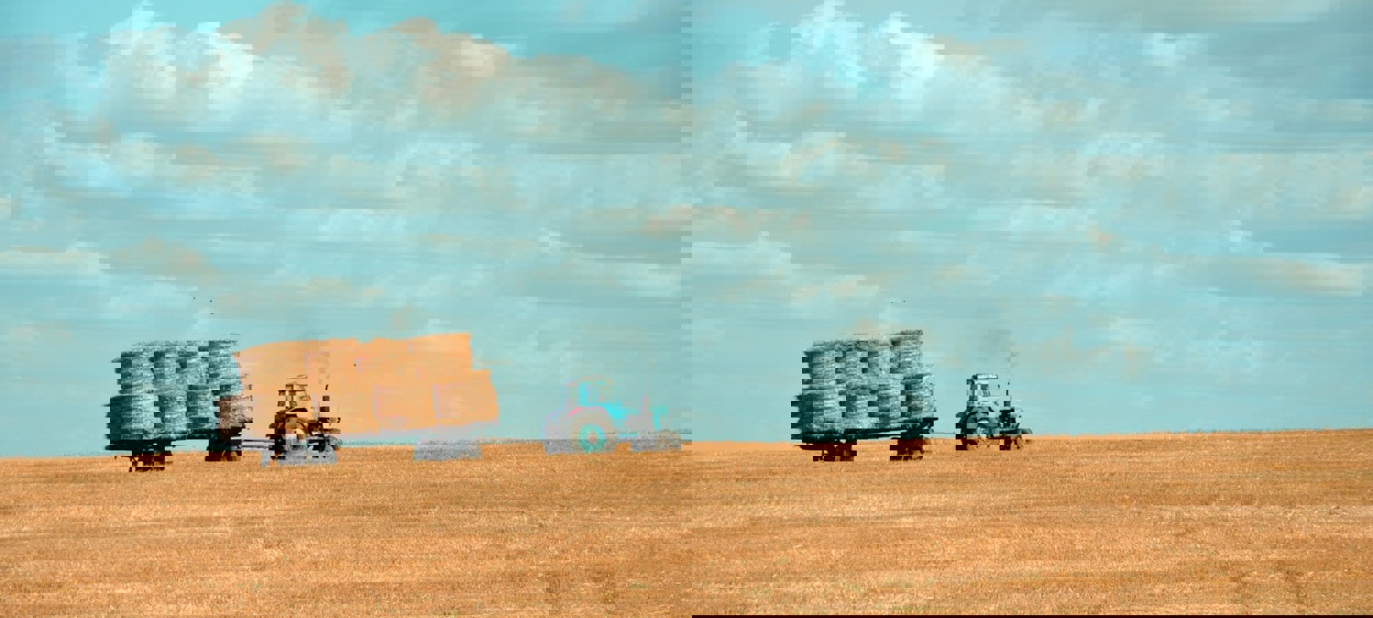 5af61edb-8f2e-469c-ba61-0babc52e509a