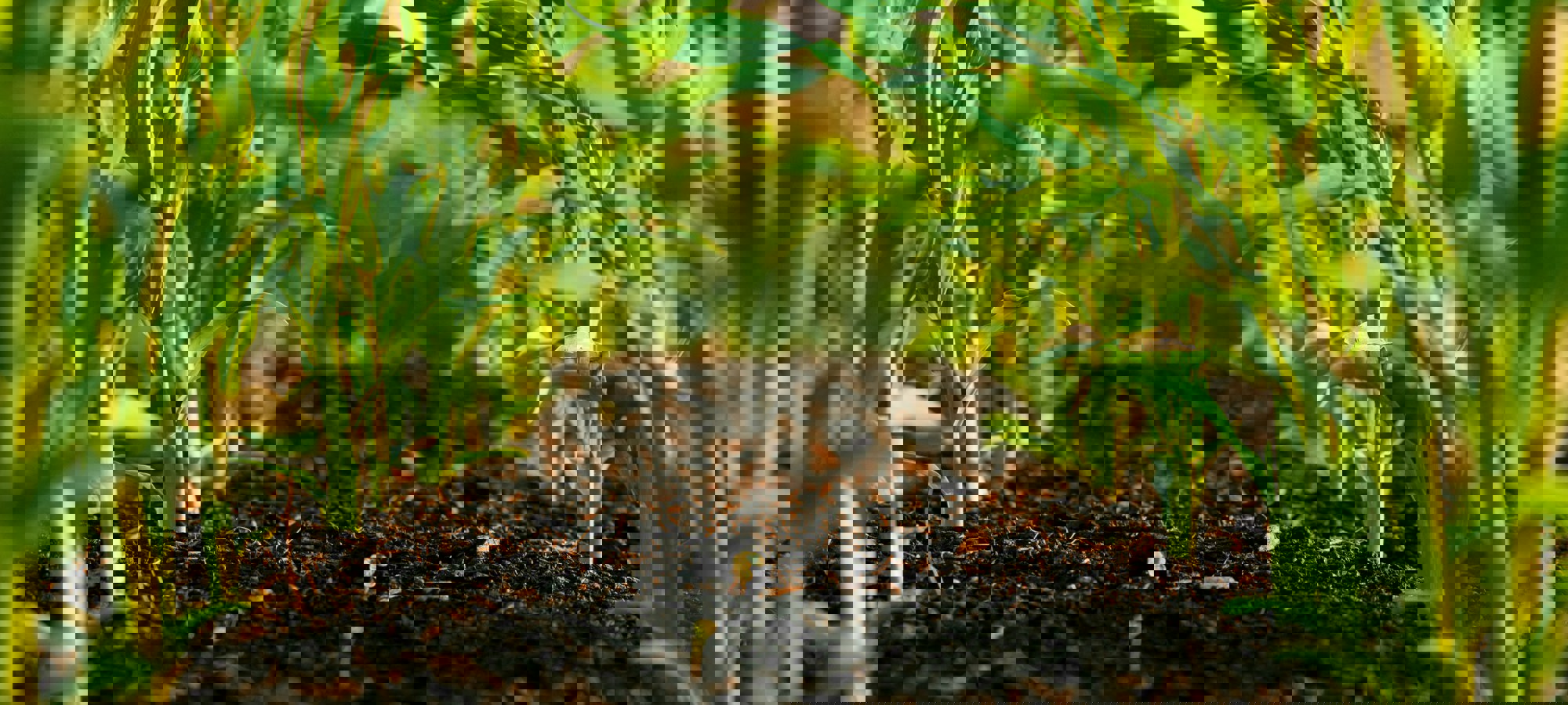 Steven Weeks Dupfowqi6oi Unsplash