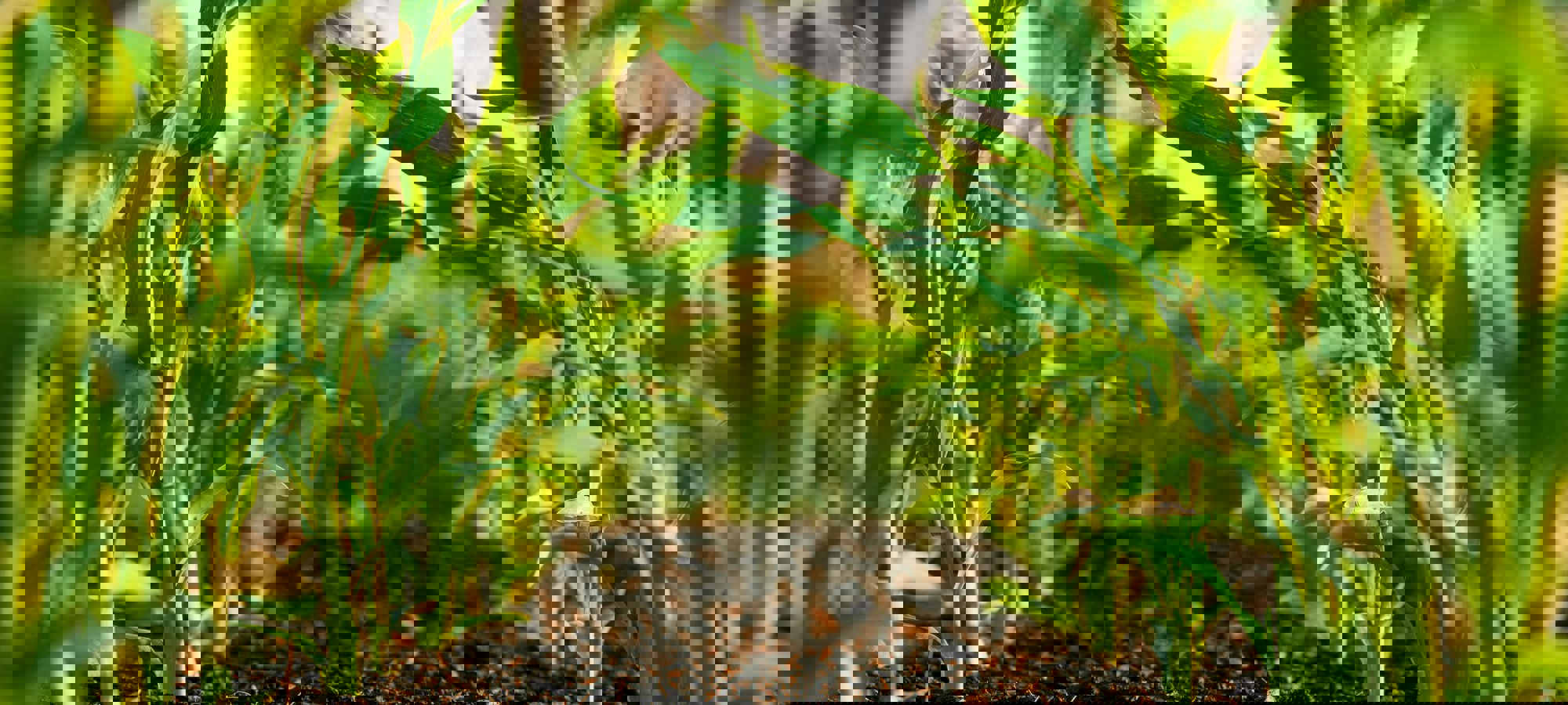 Steven Weeks Dupfowqi6oi Unsplash