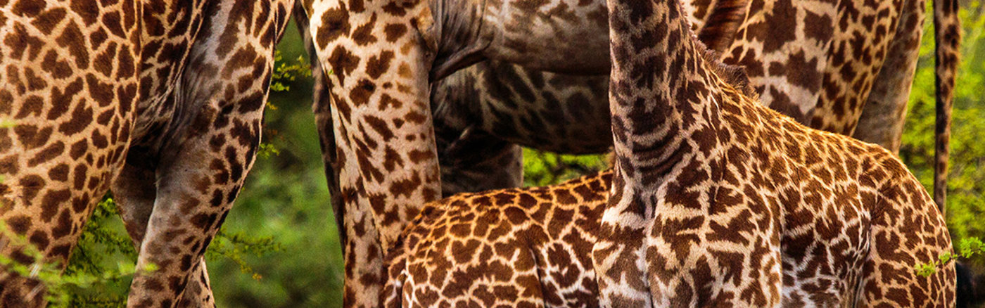 Behoefte inventarisatie en advies voor ERP-system