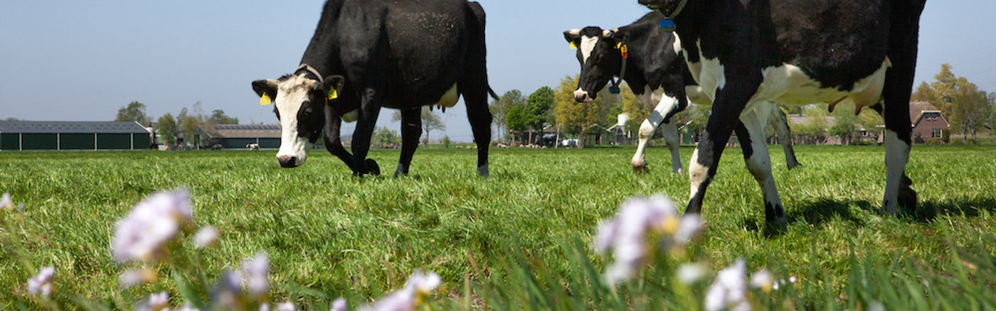 Professioneel jaarverslag ontwerpen