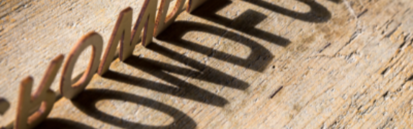 Advies over Crowdfunding 