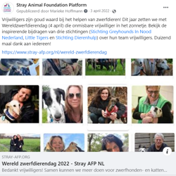 Actie wereldzwerfdierendag
