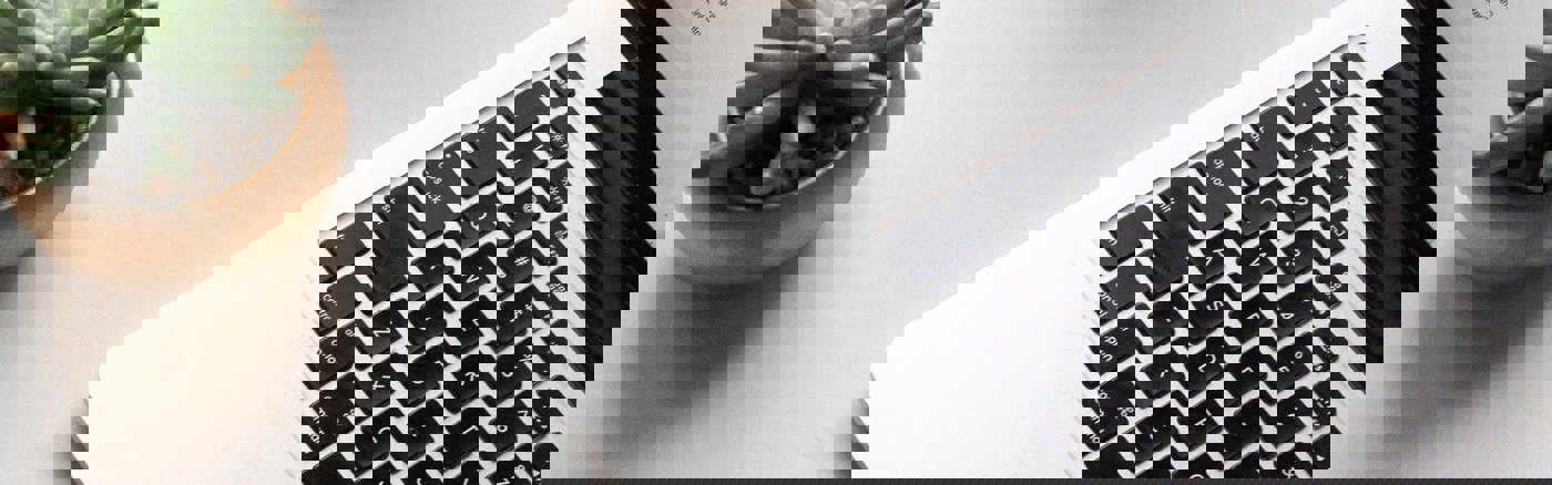 Erfenis dossier design