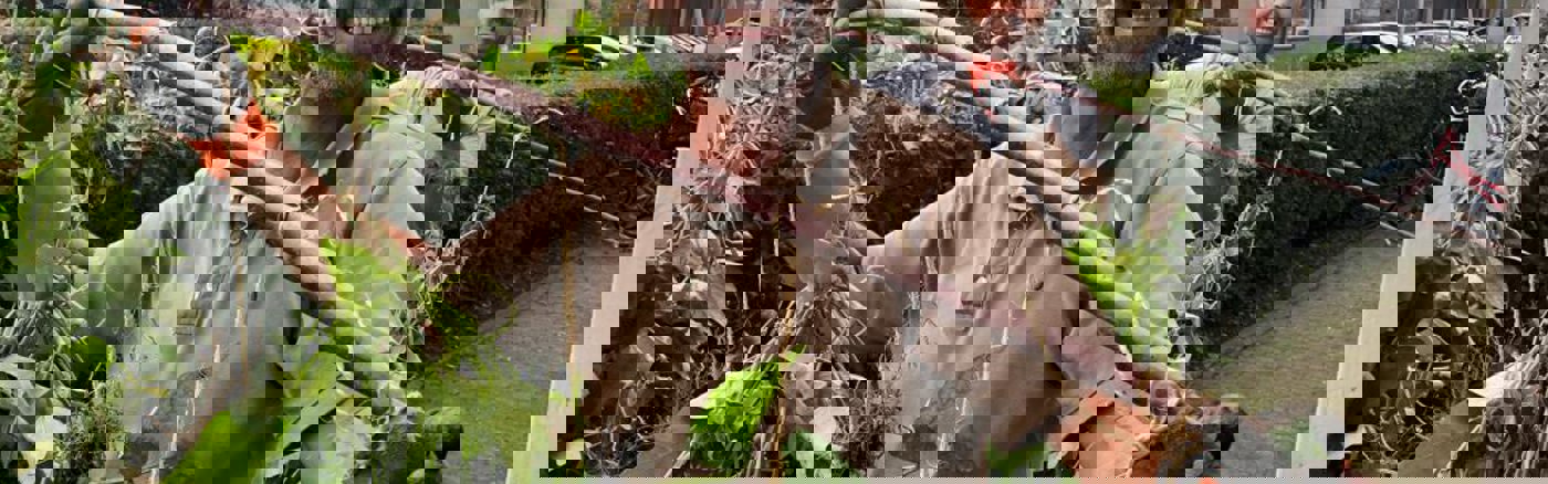 Social Media posts ontwerpen