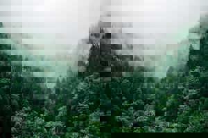 Advertentie- en Partnerpakket Ontwikkelen