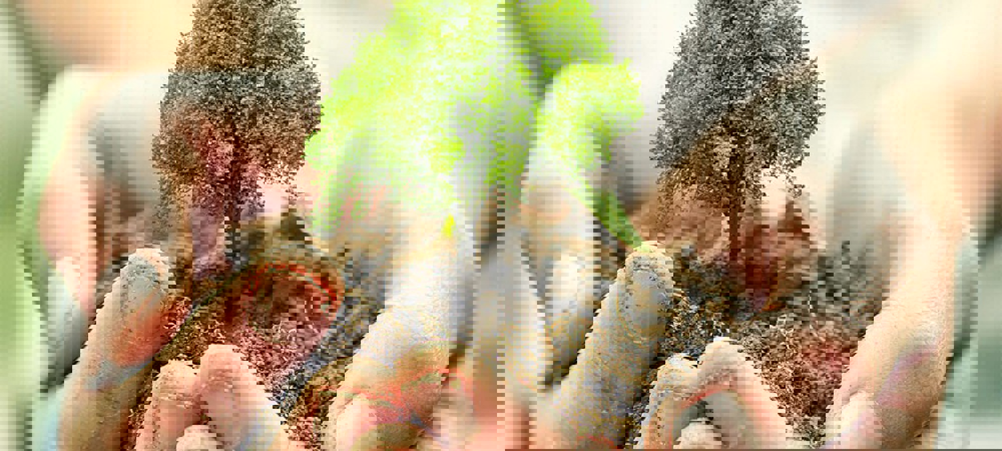 4cfd37fb-afef-4ea9-a33b-5866344fb83c