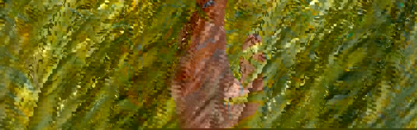 Strategische sessies: Partnerships 