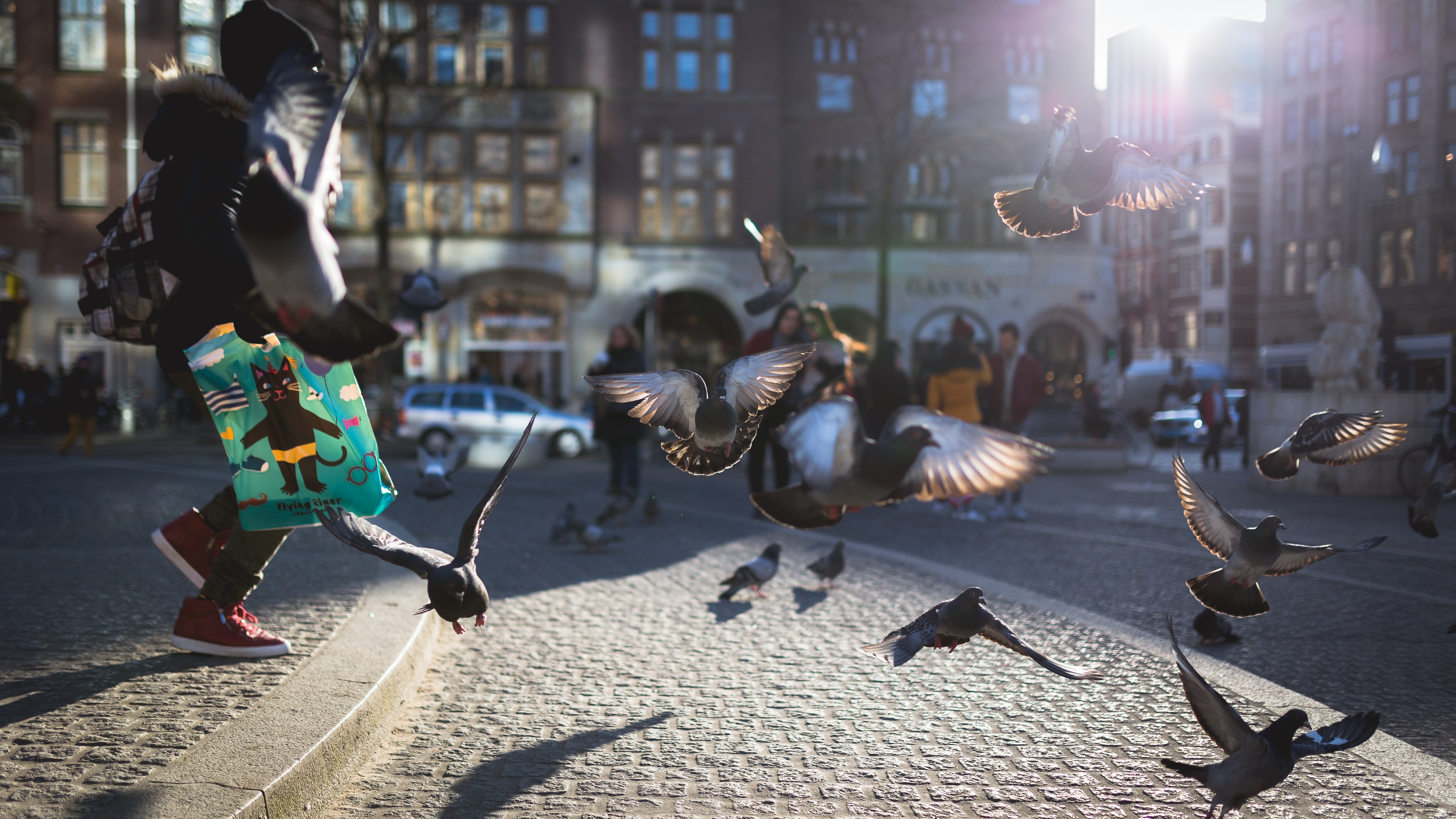 Stichting Samen is niet alleen