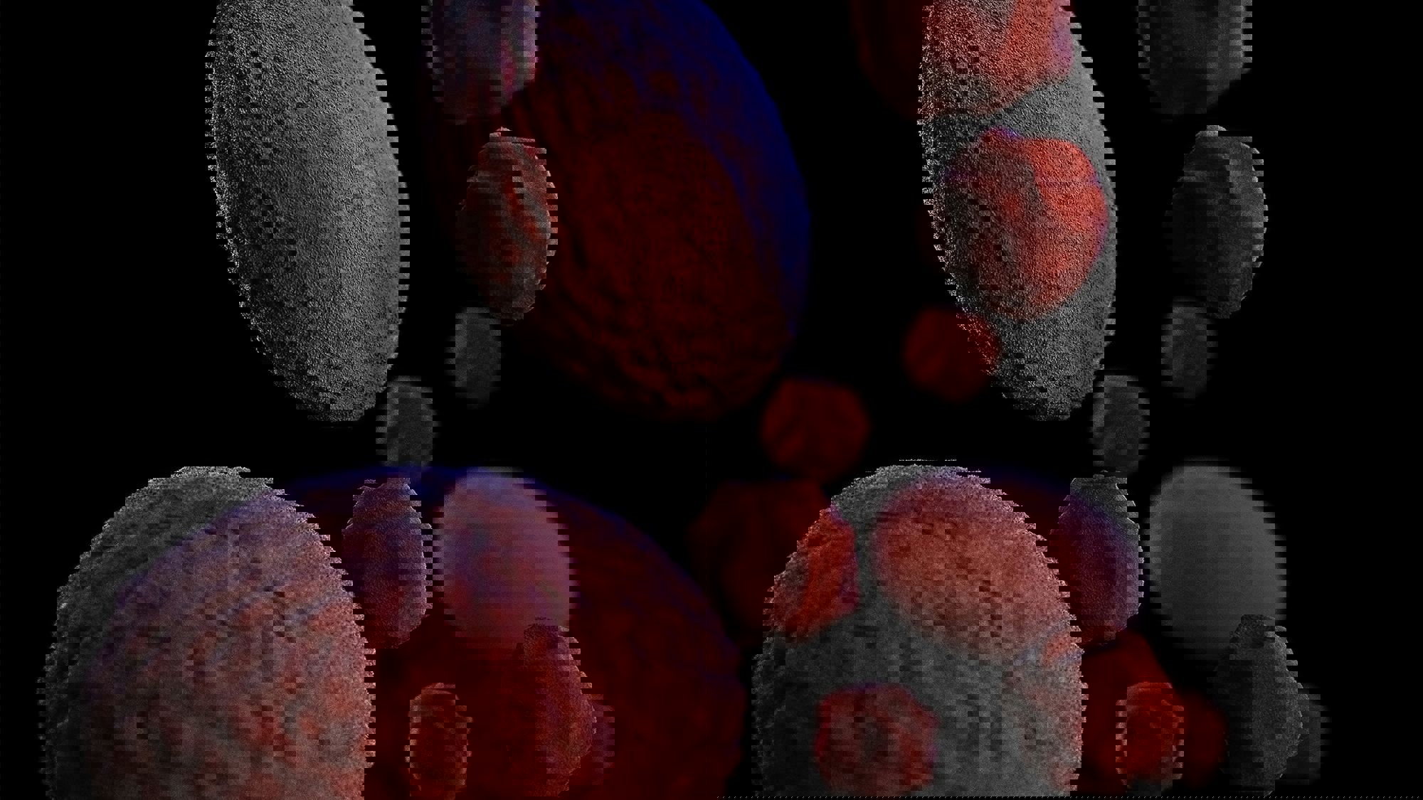 Fabry International Network