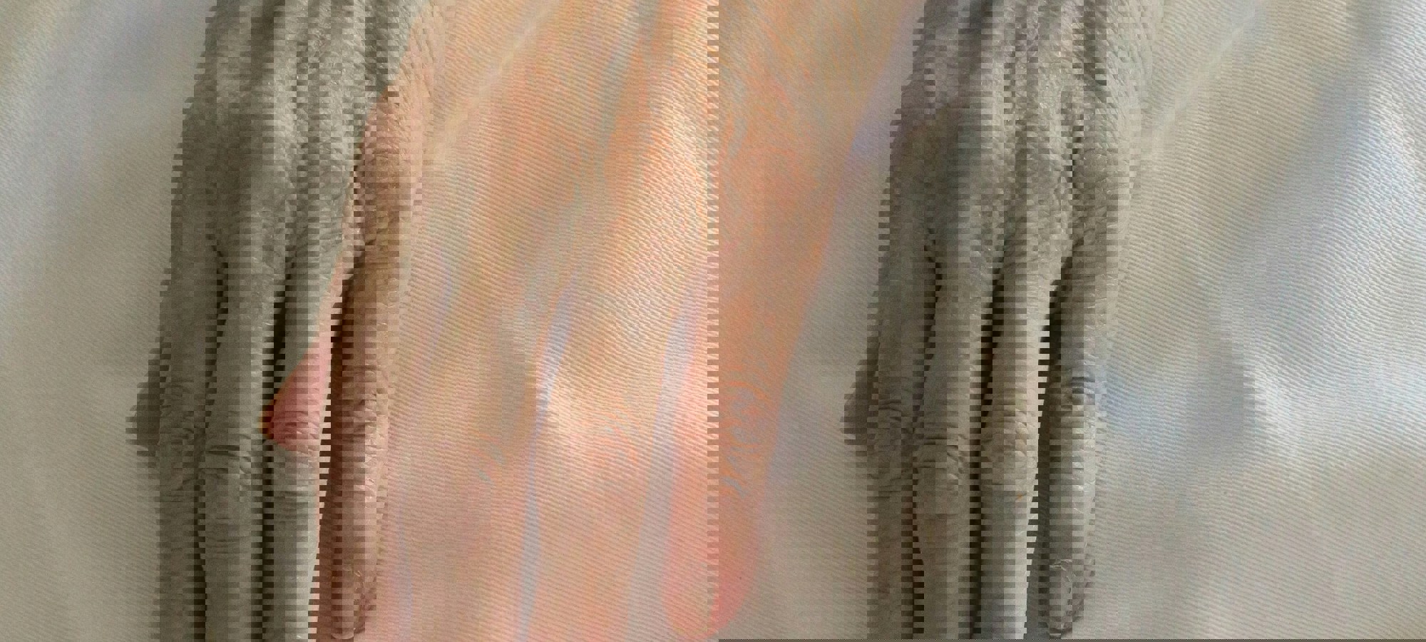 5bd019a6-d195-4275-acd4-51d1fec1abc0