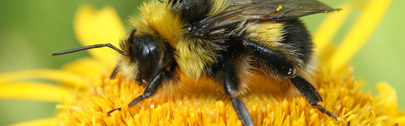 Creatief campagne concept