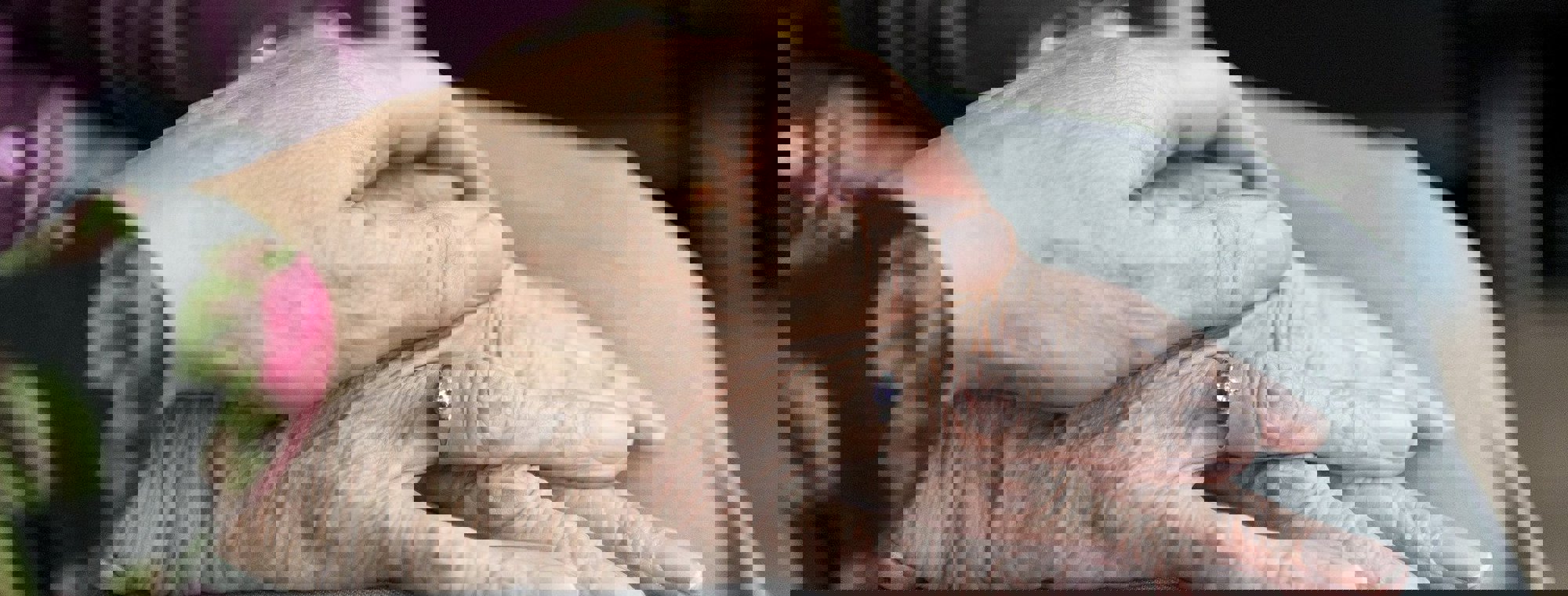 d007aff8-a138-4286-964c-53e484886a2b