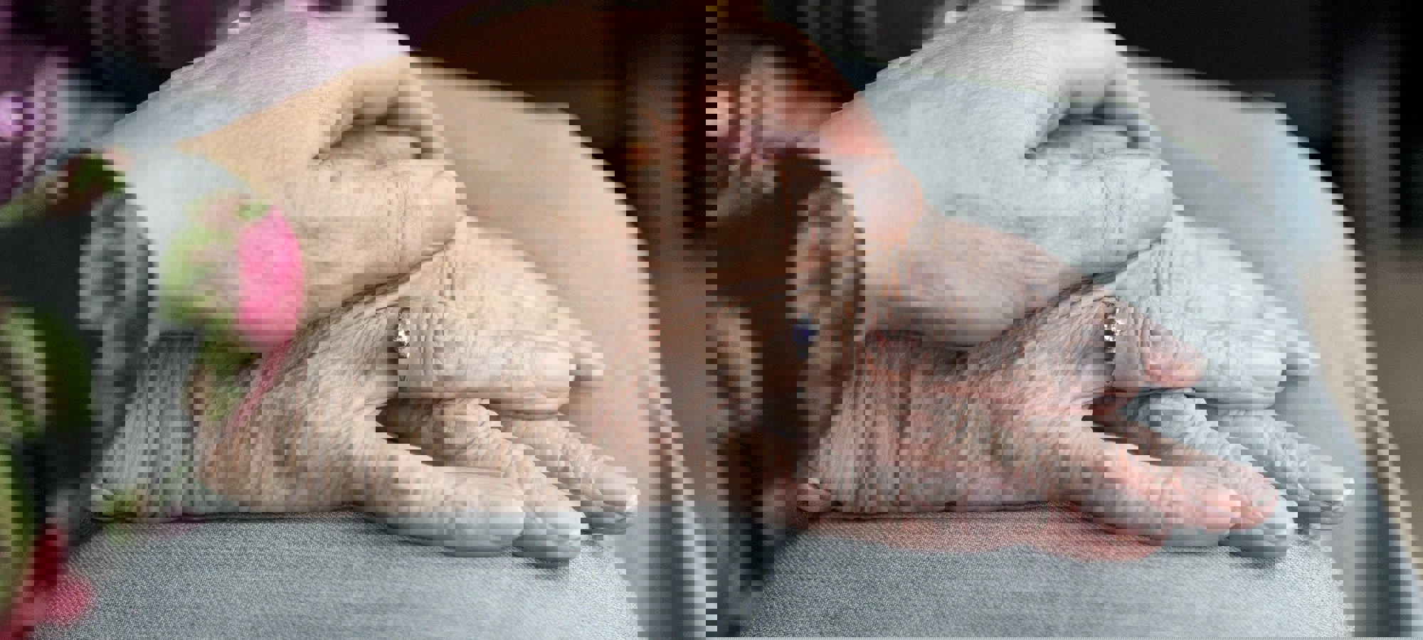 d007aff8-a138-4286-964c-53e484886a2b