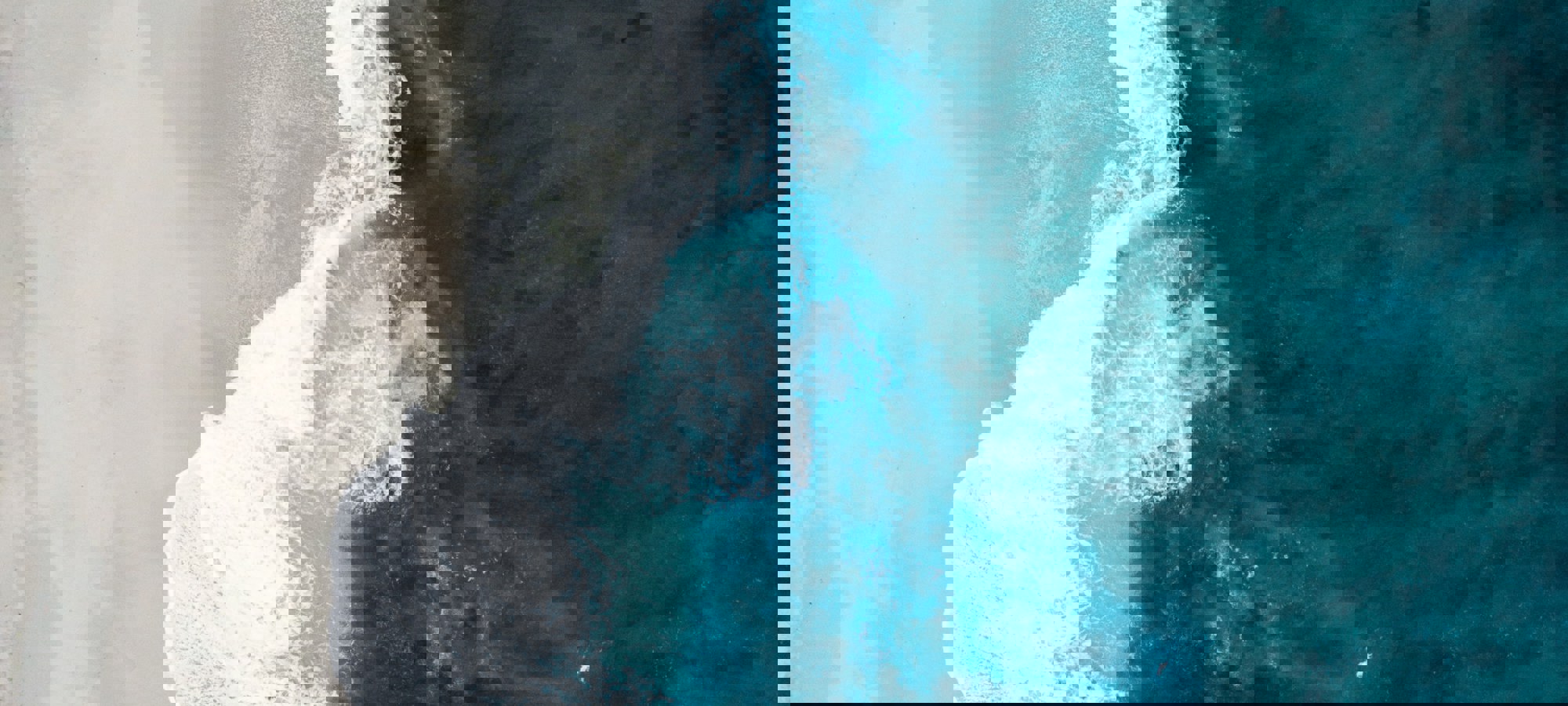 a5578e95-7540-4fd6-a9e0-1c79cc4cf358
