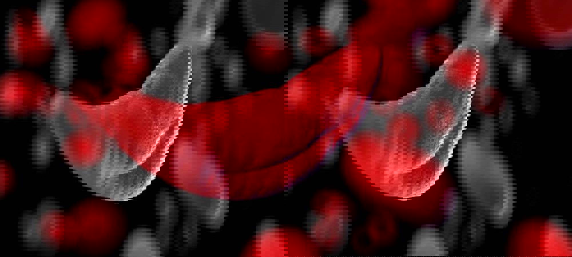 8eba1145-375d-4de3-9311-b970826ce1a8