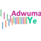 Stichting Adwuma Ye