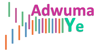 Stichting Adwuma Ye