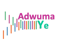 Stichting Adwuma Ye