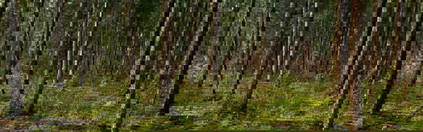 Ondersteuning bij onderzoek