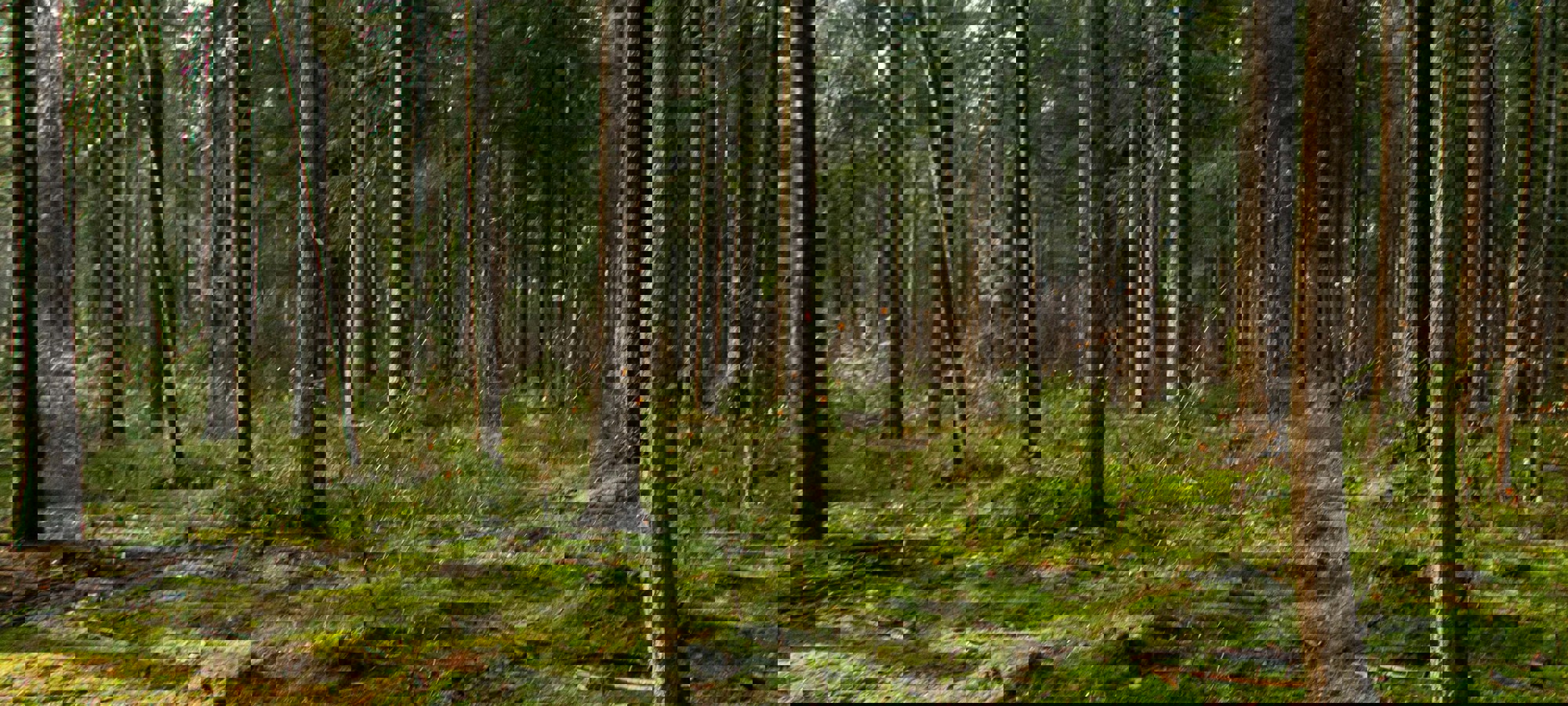 85d78ef5-33af-4bf9-a4e3-df379fdf85a8