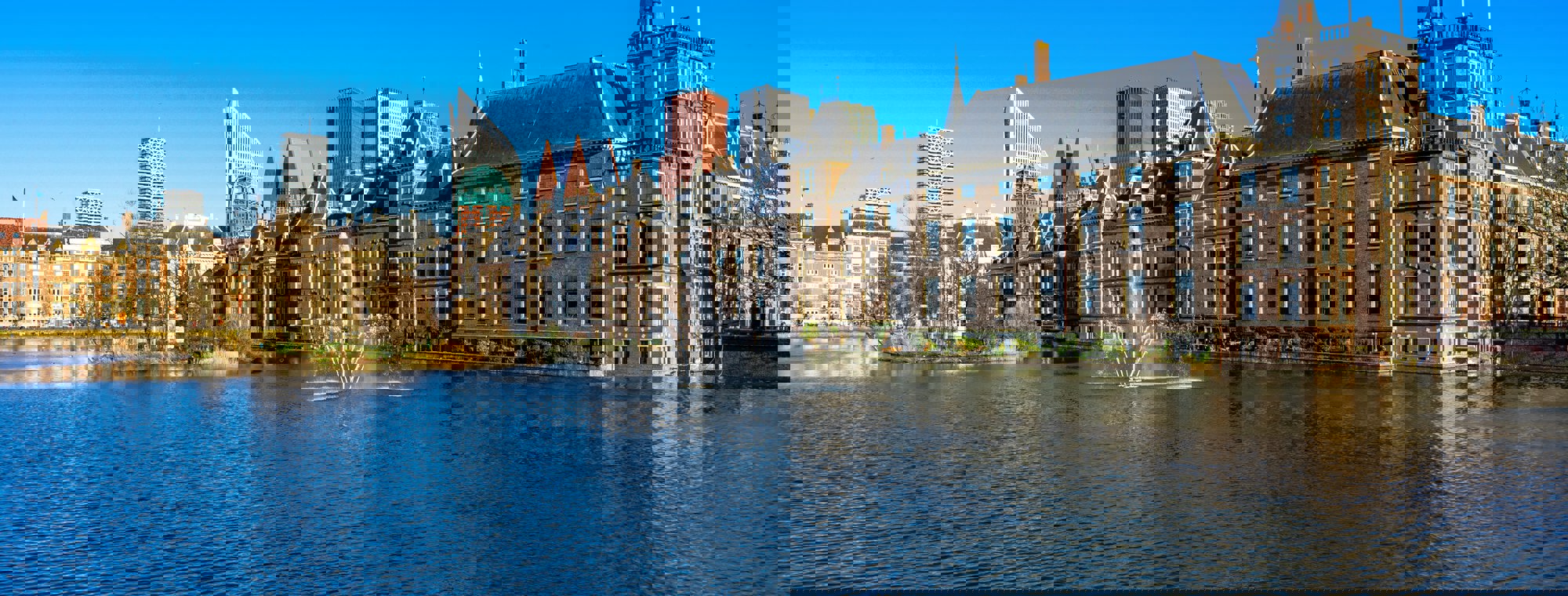 Vrijwilligerswerk Den Haag