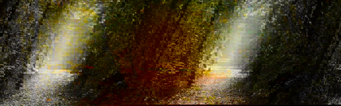 Call: Zakelijk strateeg