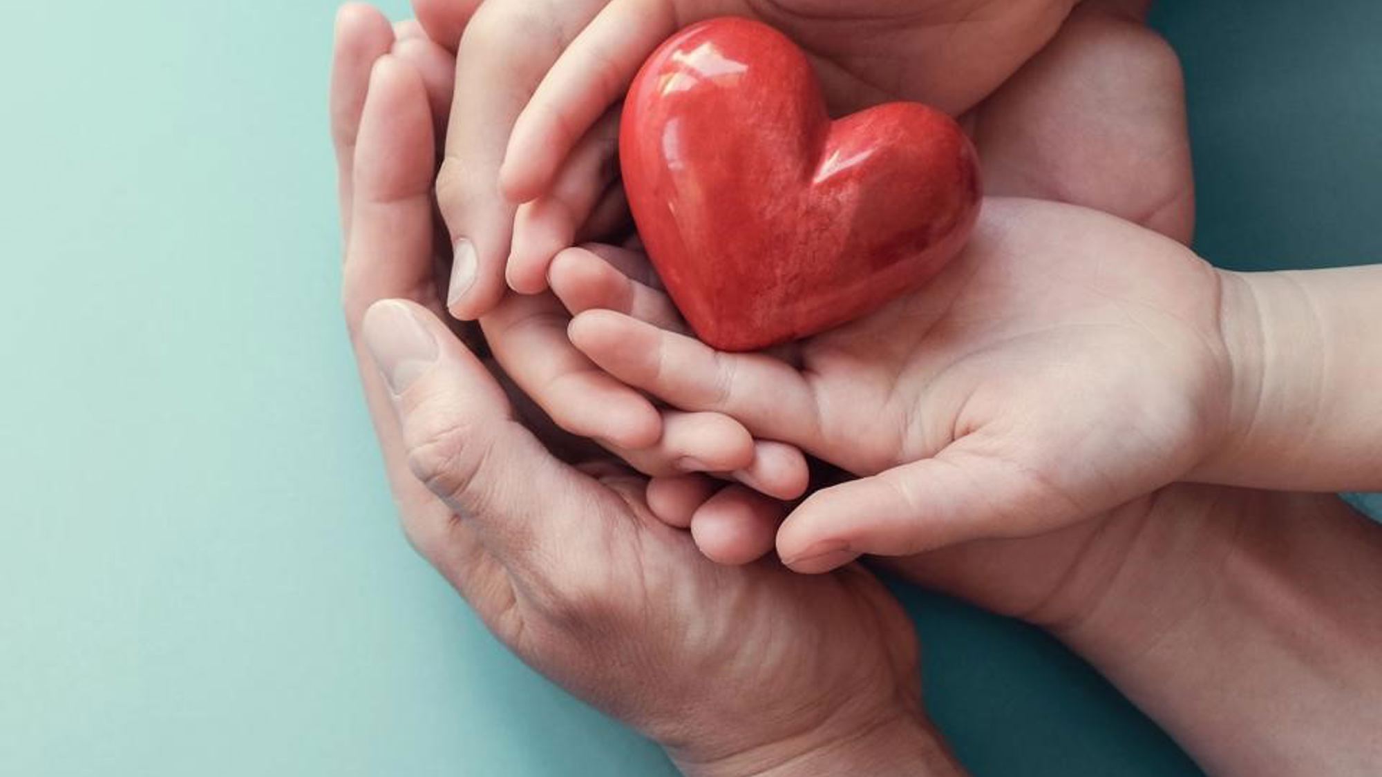 Toon Hermans Huis Parkstad