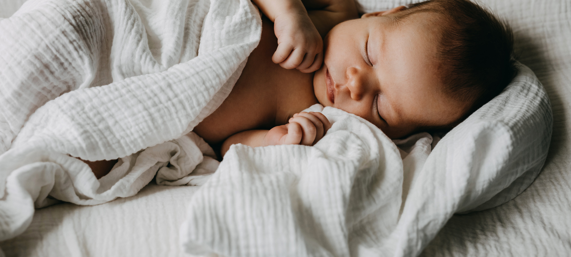 Adobestock 441151491
