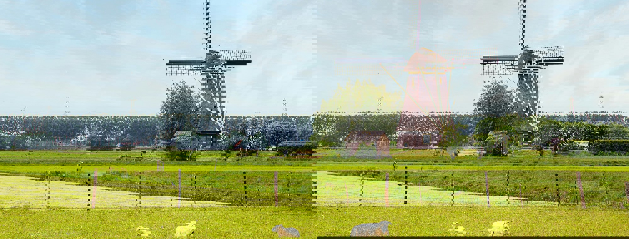 E Mens Yepuny1hxoe Unsplash