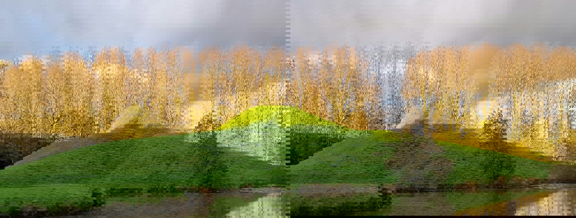 Fatemeh Alizadeh Mnplbrcvyse Unsplash