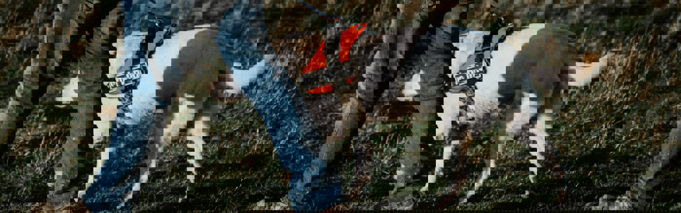 Template ontwerp personeelshandboek