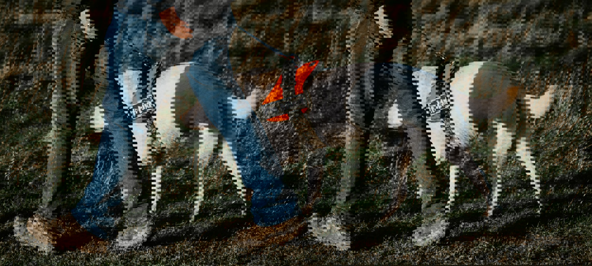 Matt Seymour Dqqo28g0ke4 Unsplash