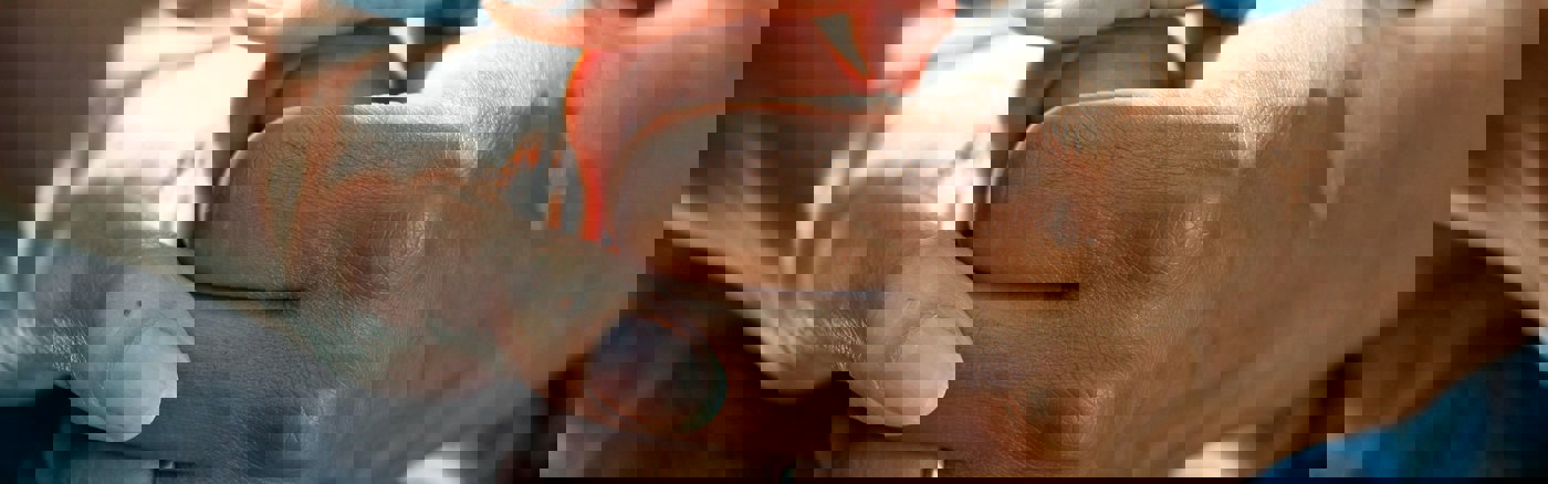 Website design update met content