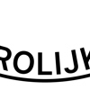 Stichting de Vrolijkheid 