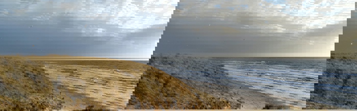 Professionele Powerpoint template 