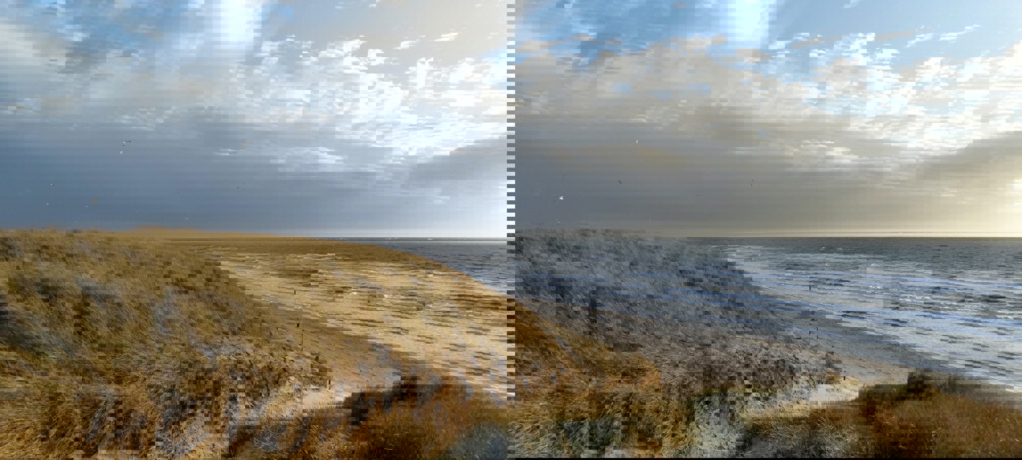 Marlon Paul Bruin Qtn9heacx4e Unsplash