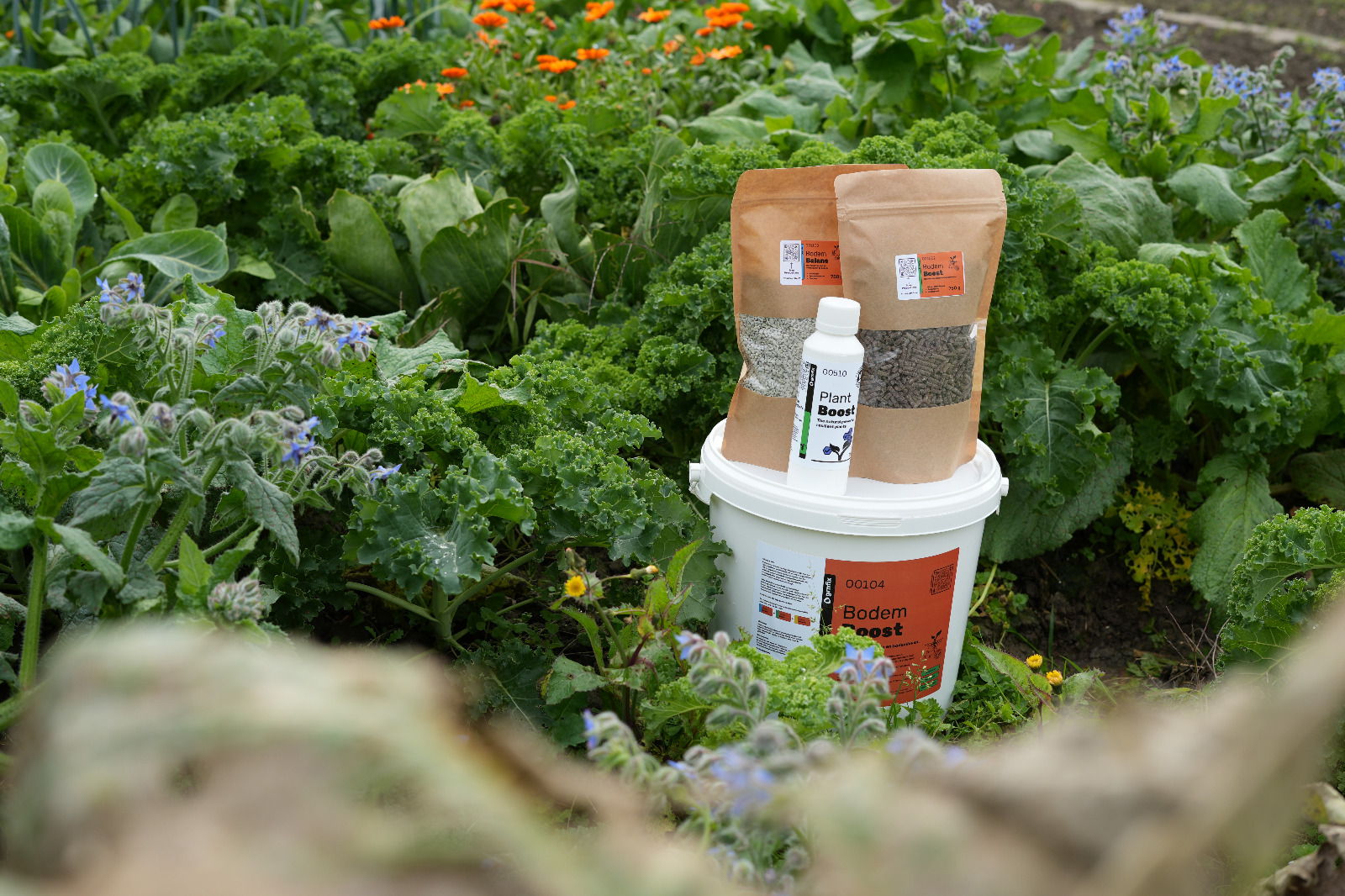 Content en advertentie templates maken