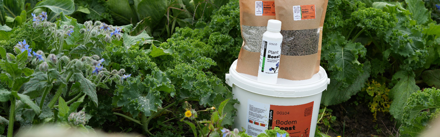 Content en advertentie templates maken