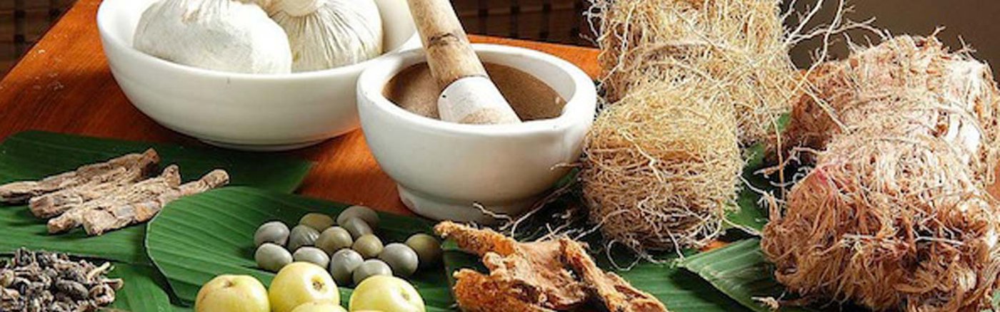 Animatievideo Productie