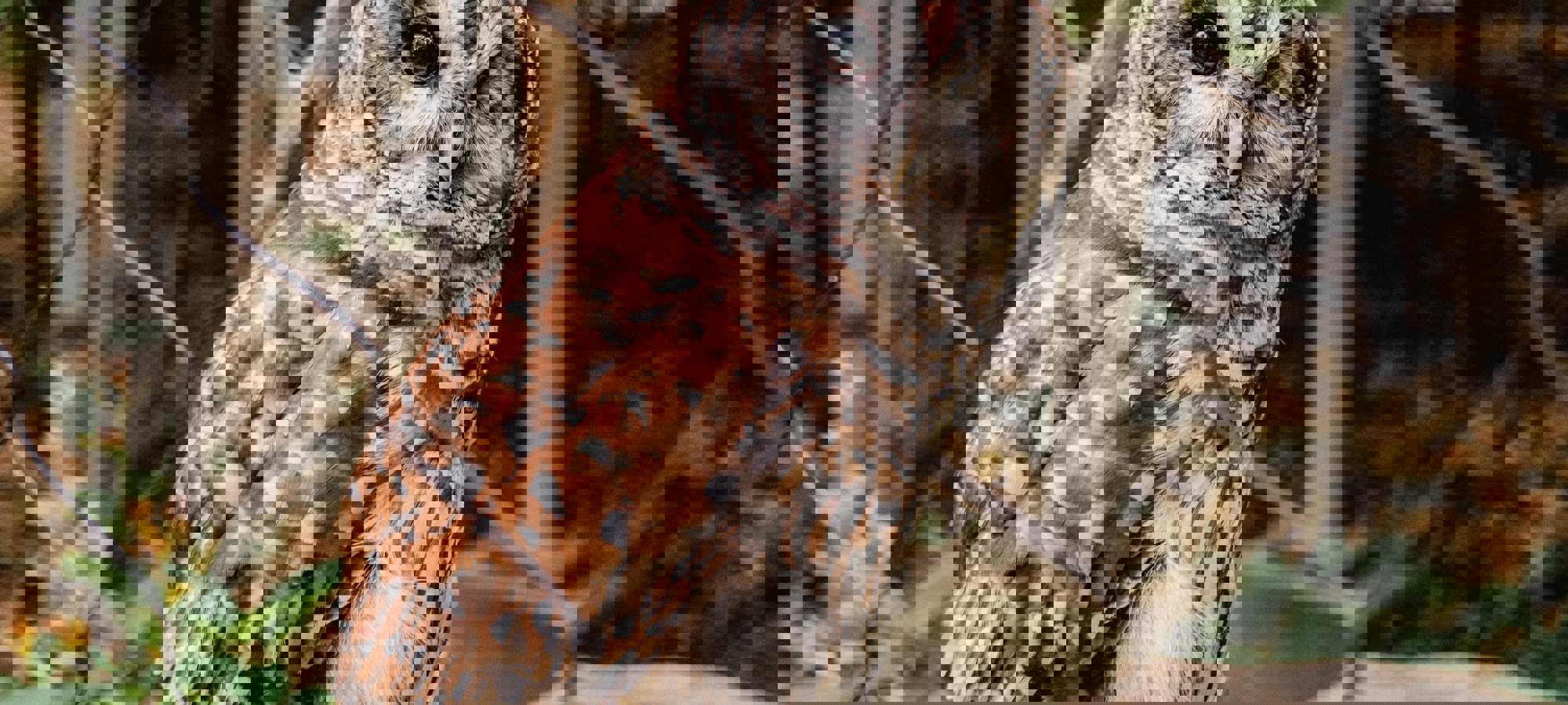 bc3731d9-04c0-4604-9088-e6cfcb81ef7f