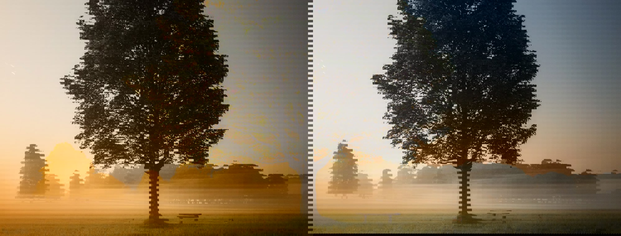 Simon Wilkes S297j2csdlm Unsplash