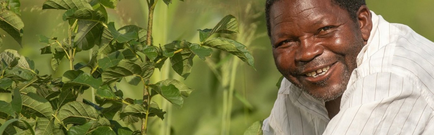 Google Drive data migratie