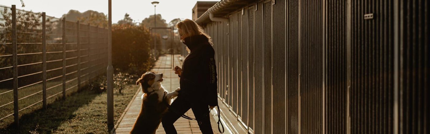 Creatief campagne concept