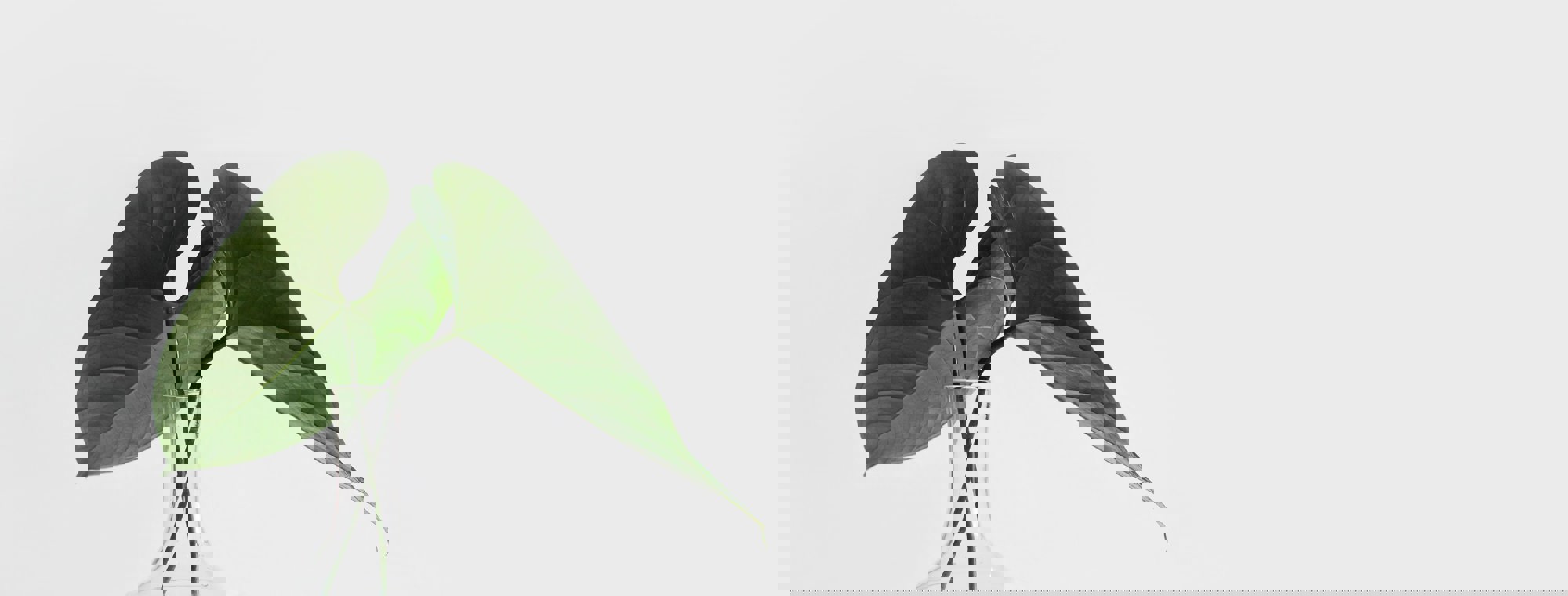 Sarah Dorweiler X2tmfd1 Sga Unsplash